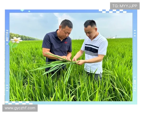 成都乒乓球队快攻革新之路探索与未来展望