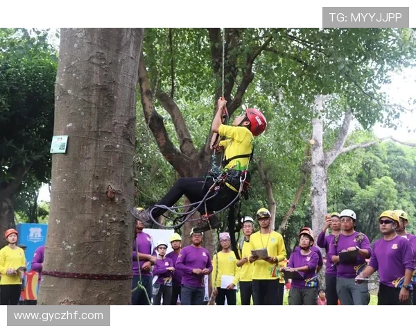 提升心理素质助力成都排球队在赛场上突破自我与挑战极限